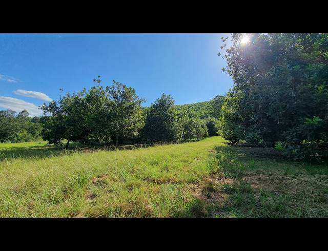 14.60HA SMALLHOLDING FOR SALE IN NELSPRUIT RURAL